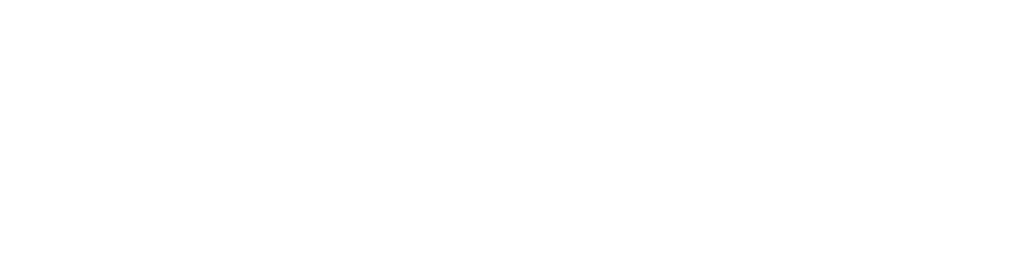 Adam Steen for Governor